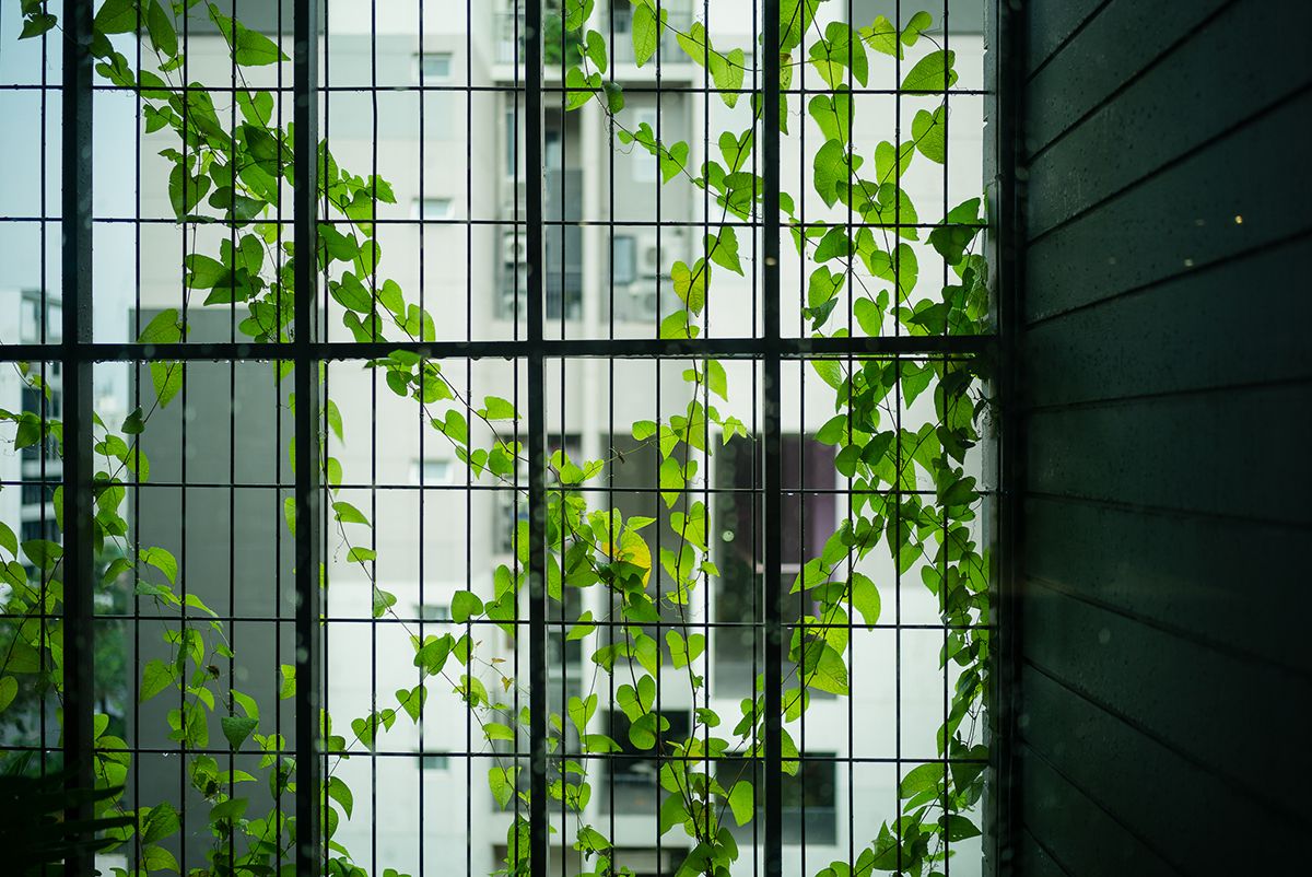 GR Holdings 办公室-24