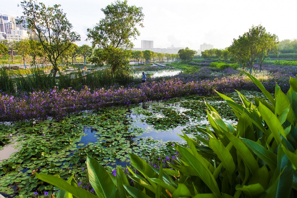 美舍河凤翔公园-40