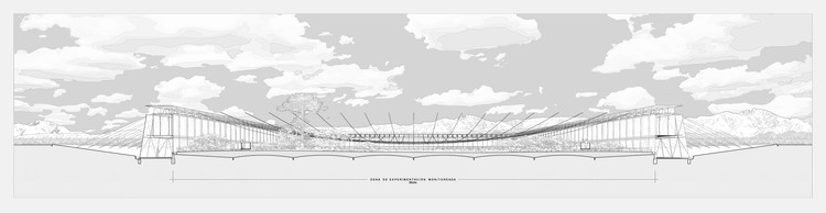 生物群落与种子研究中心丨智利丨中央大学Hugo Valenzuela等学生团队-34
