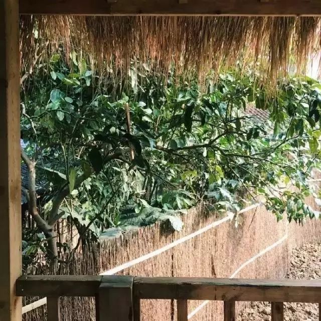 Color Case/90后帅小伙儿仅花3千爆改出租屋后-71