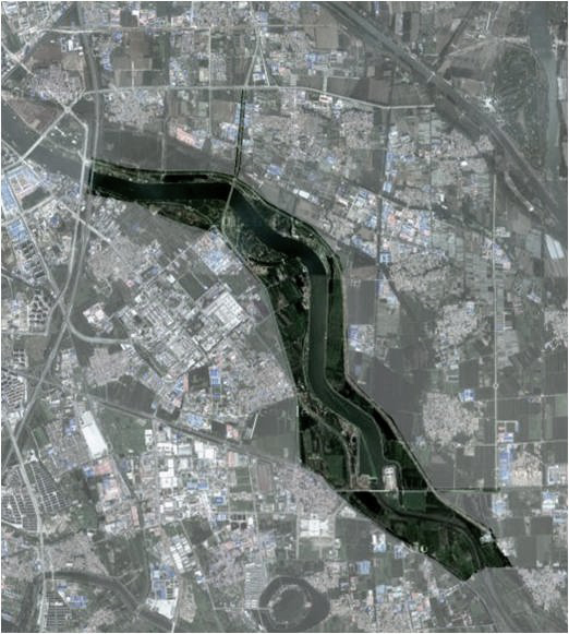 林建筑-与自然树木的共舞 / 迹·建筑事务所(华黎)-212