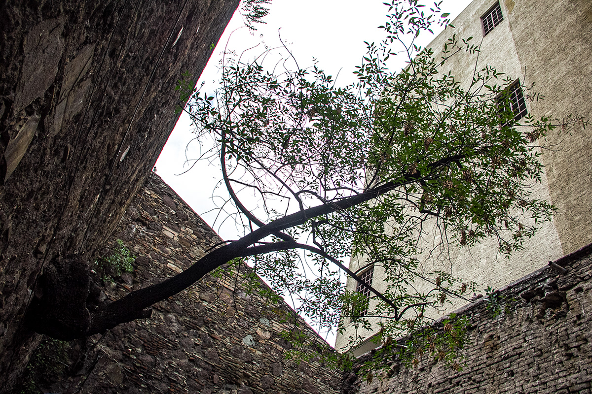 Guanajuato, México-9