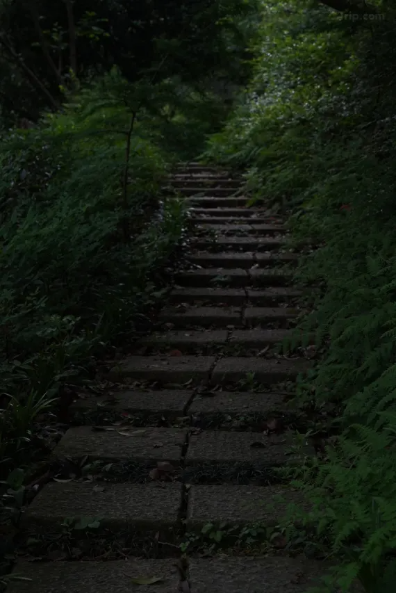 春山在望 RESUN丨中国江苏丨尚壹扬设计-133