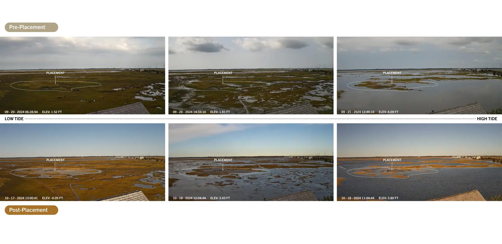 关乎时间:滨海盐沼的适应性管理丨美国新泽西-47