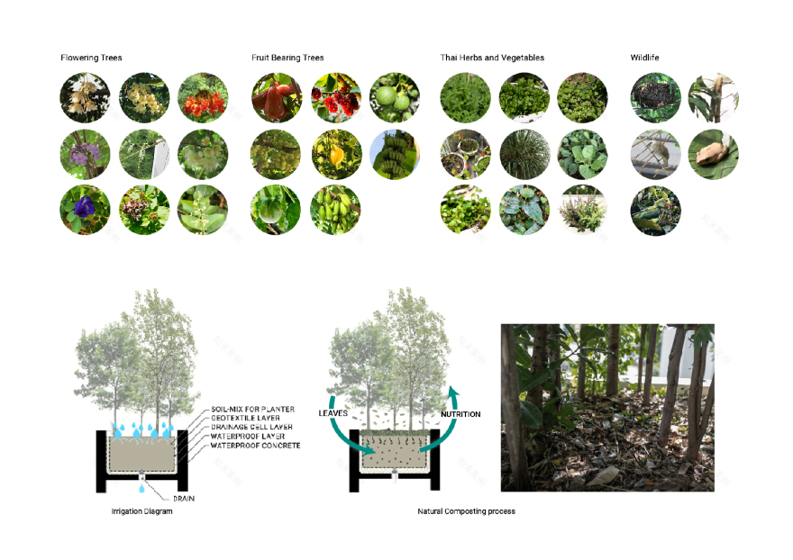 Forested House | Shma Company Limited-25