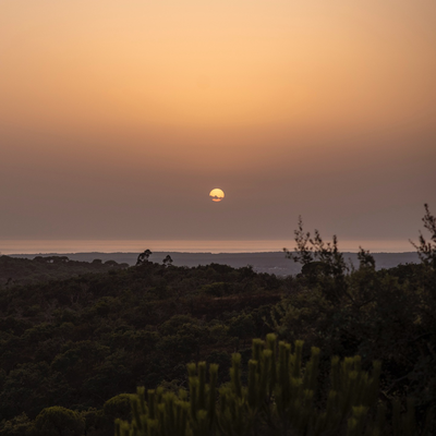 玫瑰岩别墅丨Manuel Aires Mateus-58