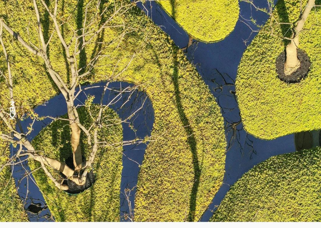 “城市山林” | 苏州·正荣春栖和庭-29