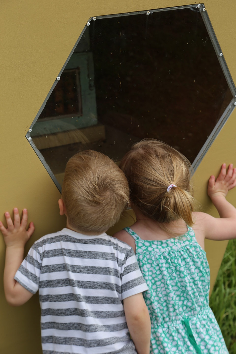 城市蜂巢 · 加拿大社区蜜蜂教育项目-15