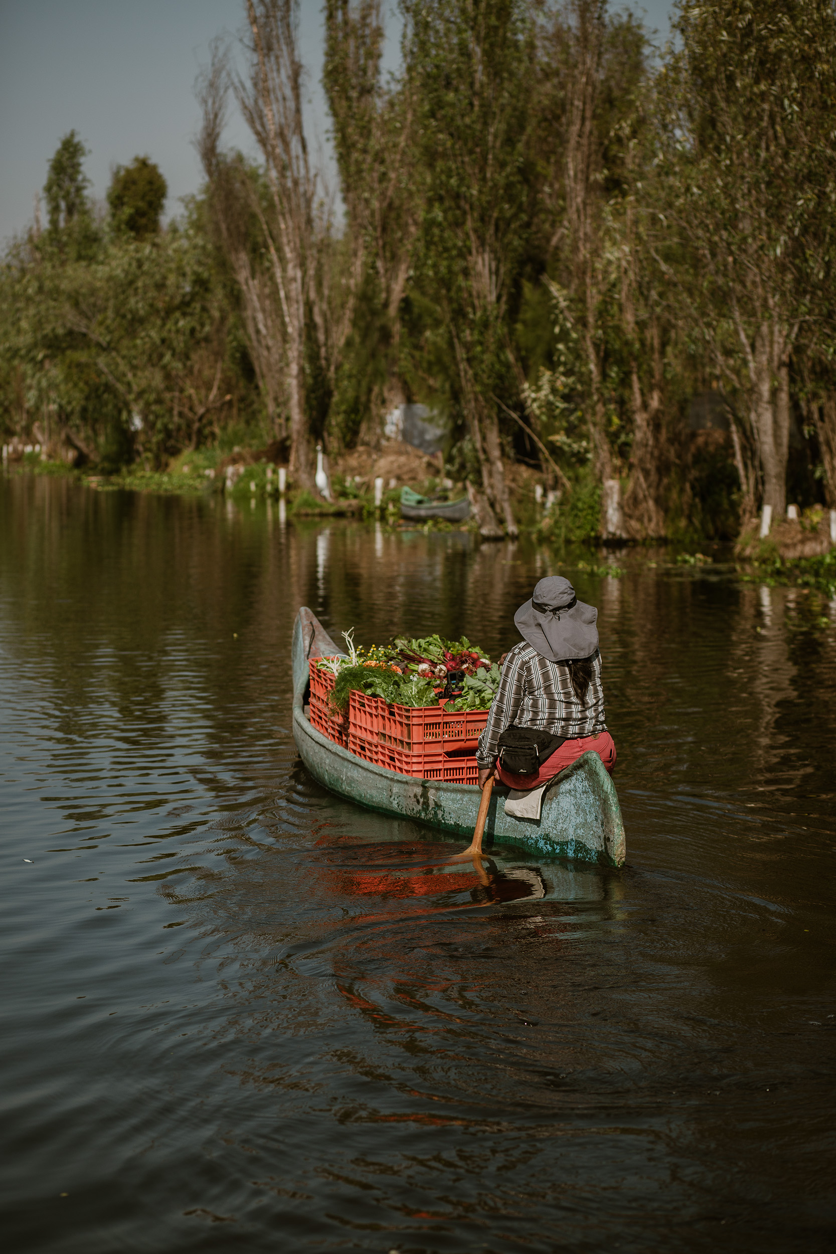 第 19 届威尼斯国际建筑双年展：墨西哥馆，探索古老农业系统的生态潜力-13