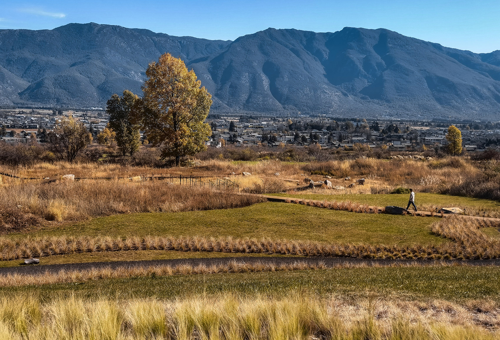 荒野花园和草甸剧场丨中国白沙丨Z’scape致舍景观-12
