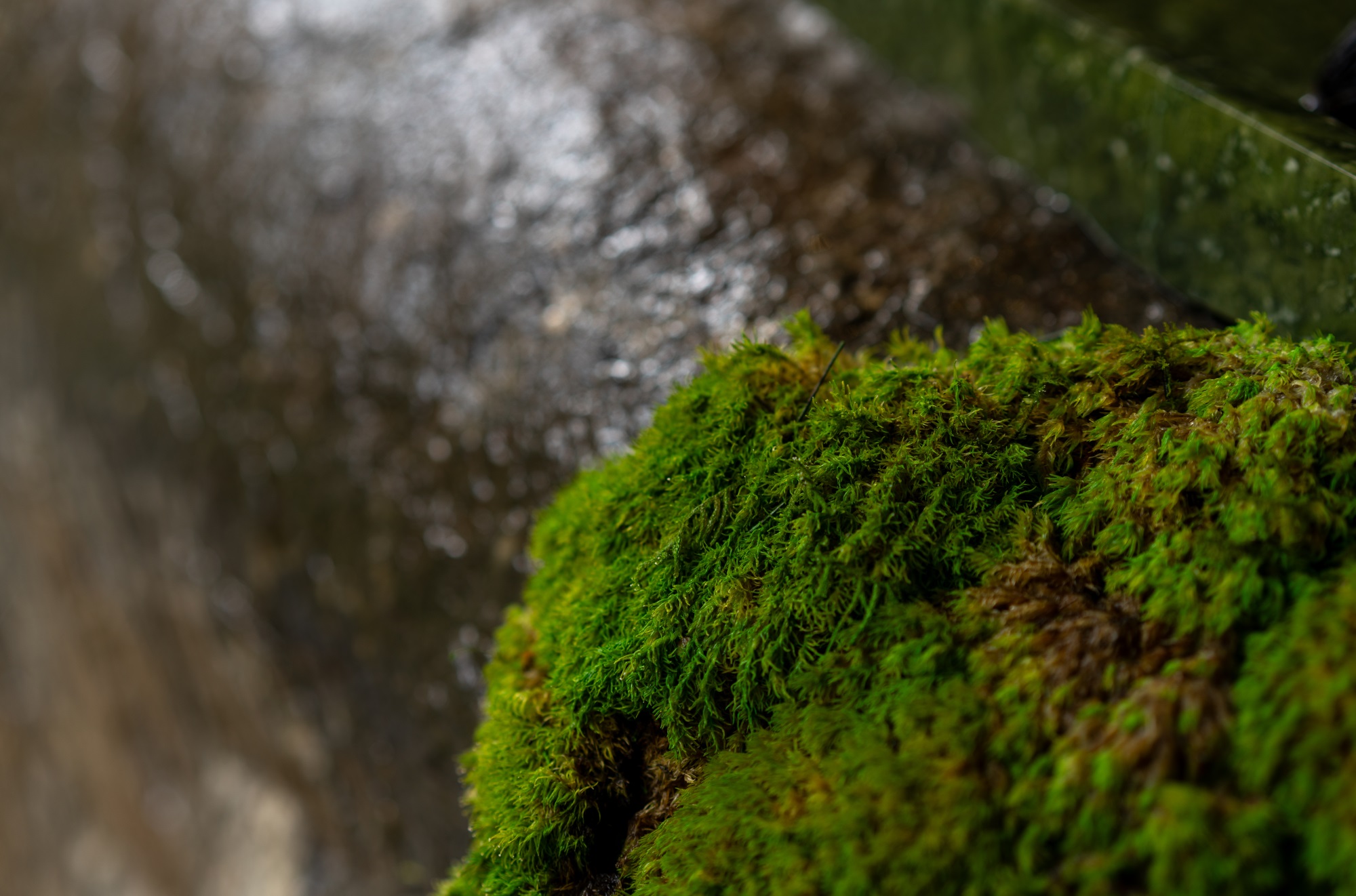 苏州建发·檀府丨中国苏州丨广州知行景观规划设计有限公司-121