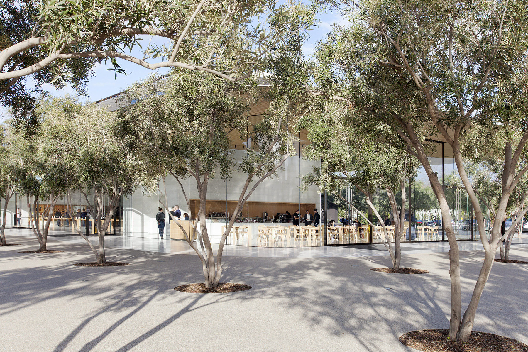 苹果公园游客中心-19