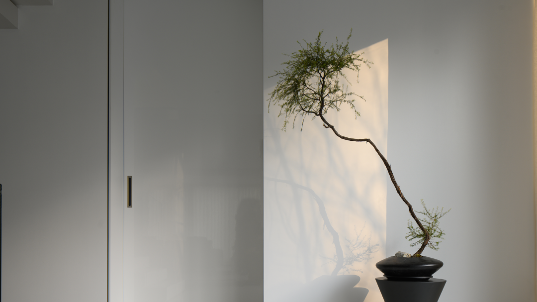 极简大宅,柳岸晓风-14