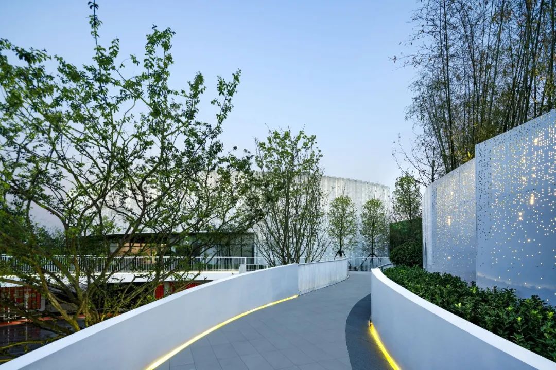 金小瑞的自然探索之旅 | 金辉·优步学府-17