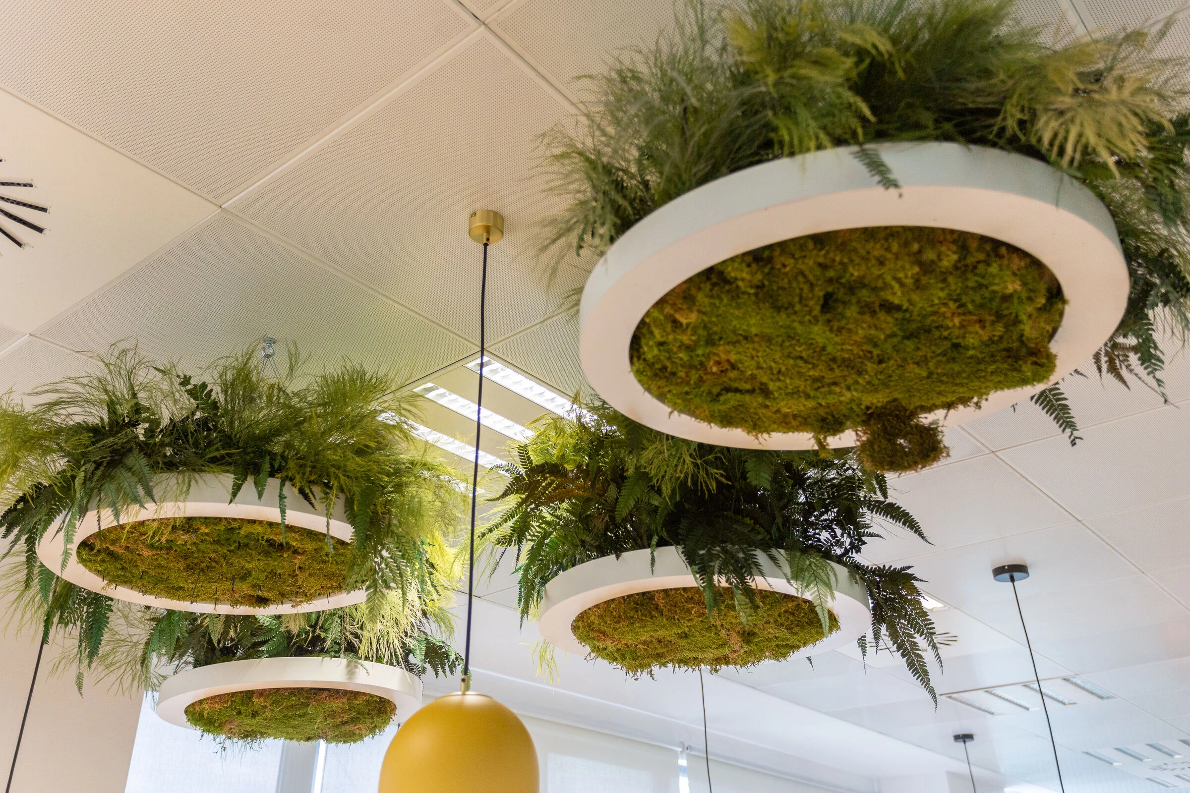 阿克苏诺贝尔办公室丨西班牙巴塞罗那丨Areazero 2.0-27