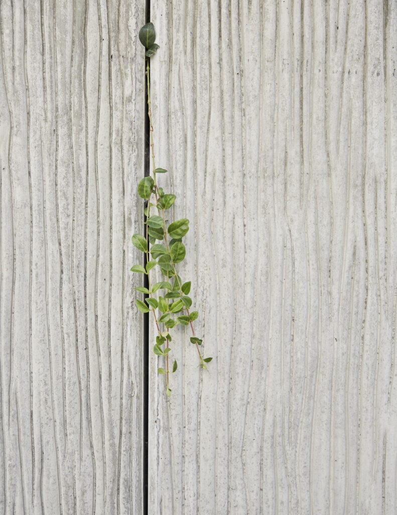 莱斯罗什自由空间公寓-22