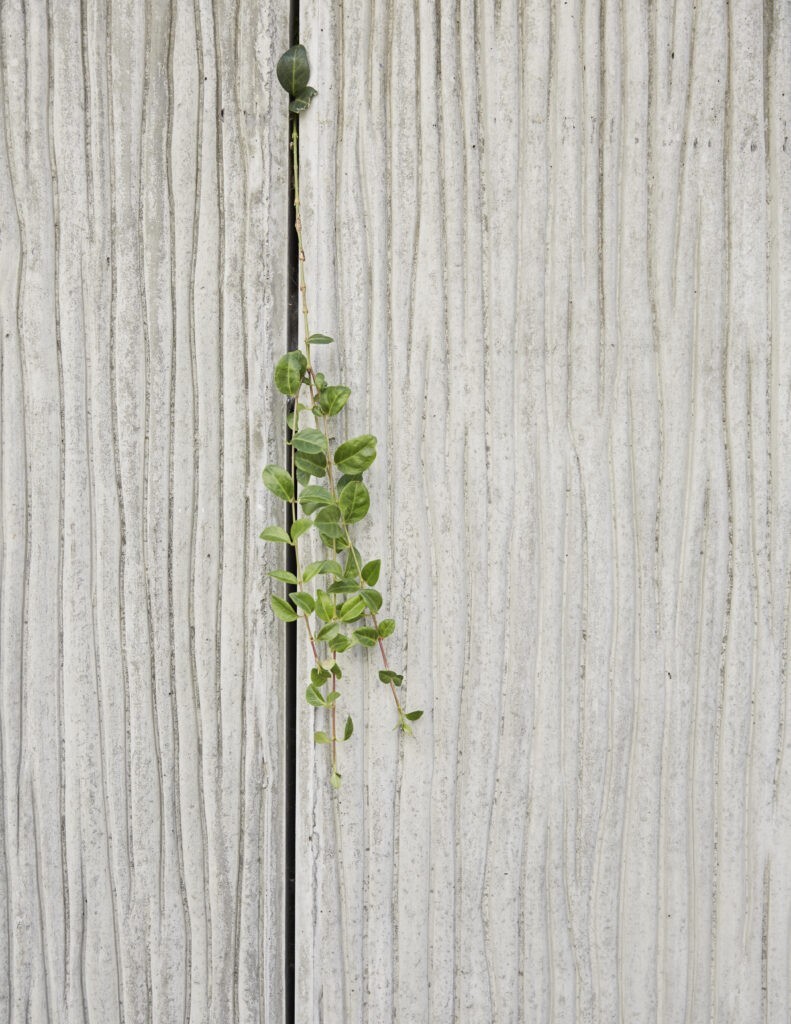 莱斯罗什自由空间公寓-22