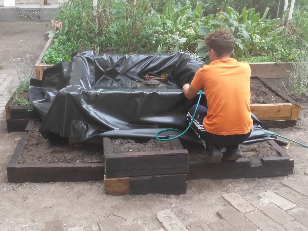 Kisdiófa Közösségi Kert特色水池（或泳池）项目丨匈牙利布达佩斯-19