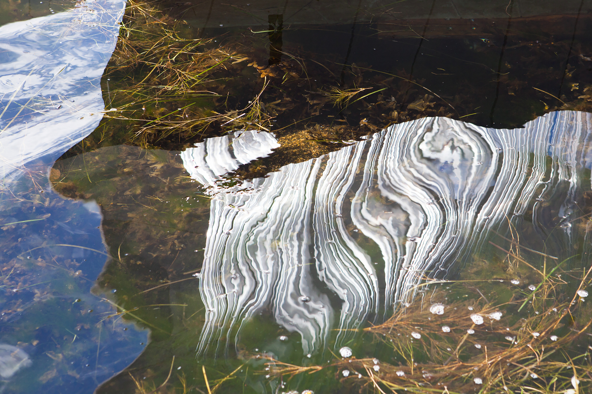 哥本哈根Ø茶室丨丹麦哥本哈根丨PANProjects-34