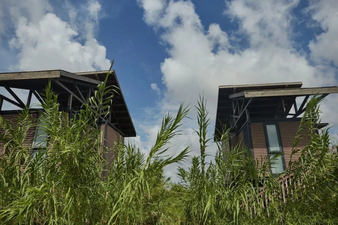 一尺花园（龙湾度假区店）星空屋民宿-98