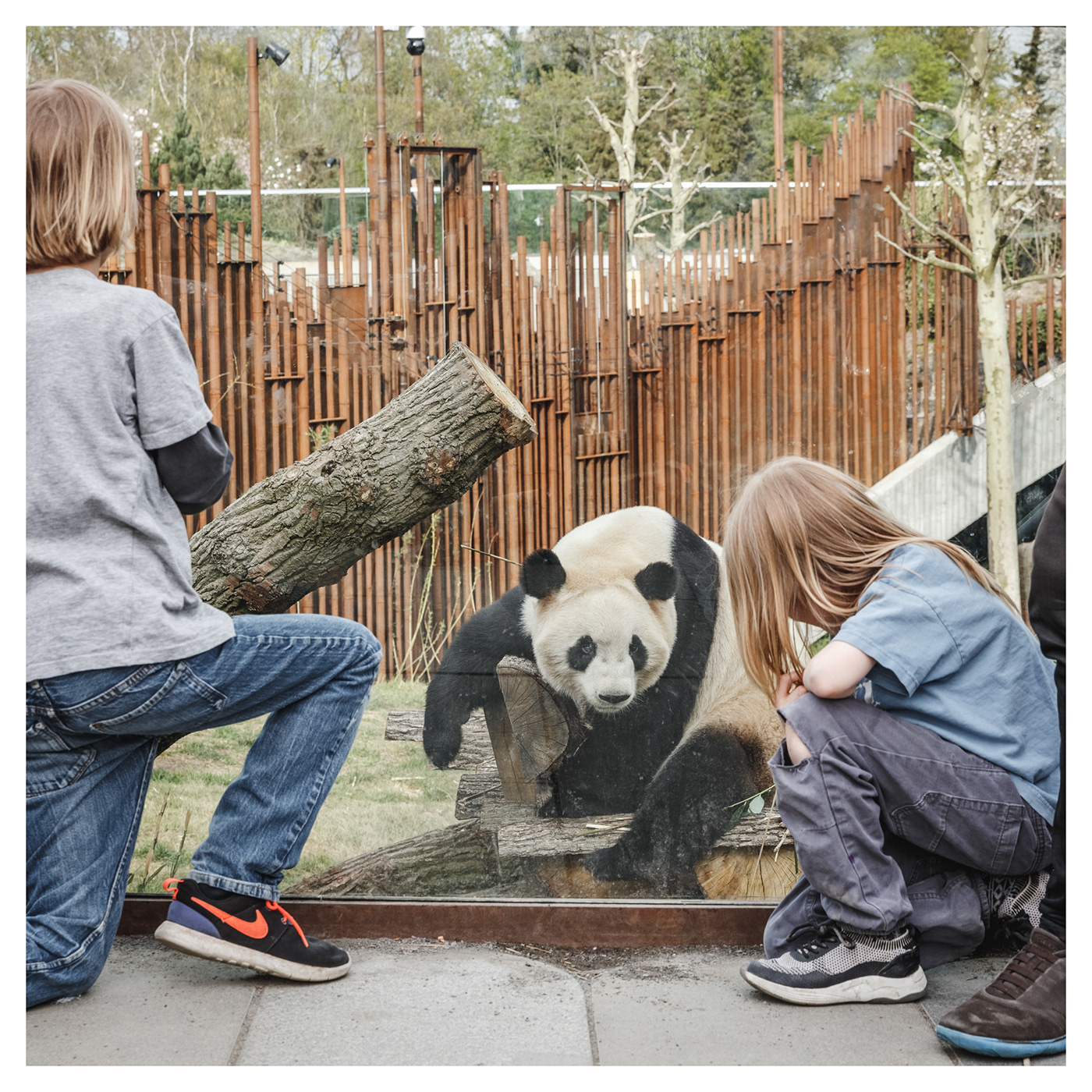 Anastasiya Gushchina丨公园丨P A N D A H O U S E-6