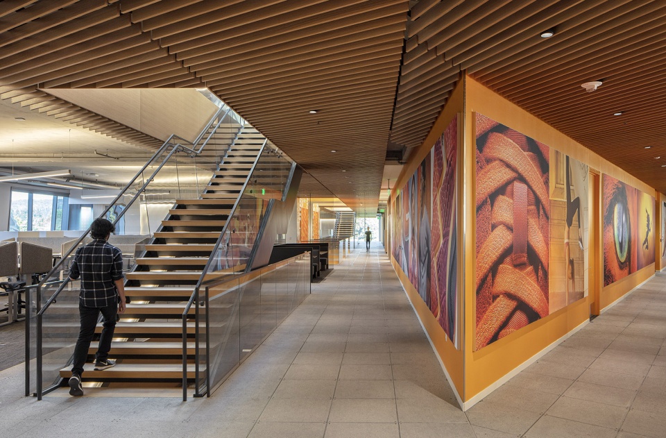 耐克世界总部 Serena Williams 大楼，俄勒冈 / Skylab Architecture-56