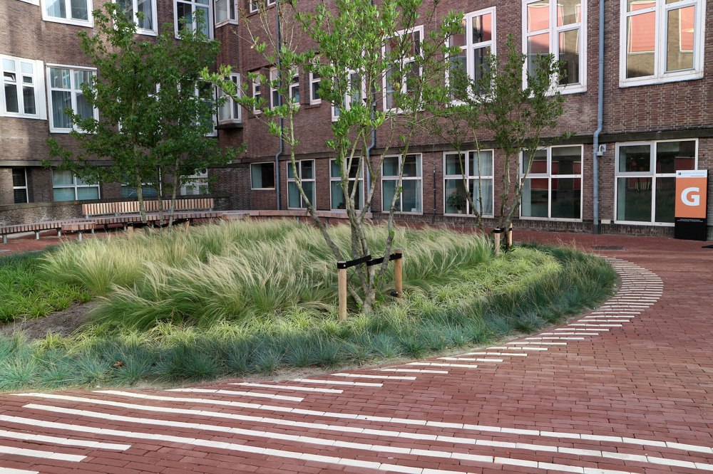 Roeterseiland,阿姆斯特丹大学景观设计丨荷兰阿姆斯特丹-36