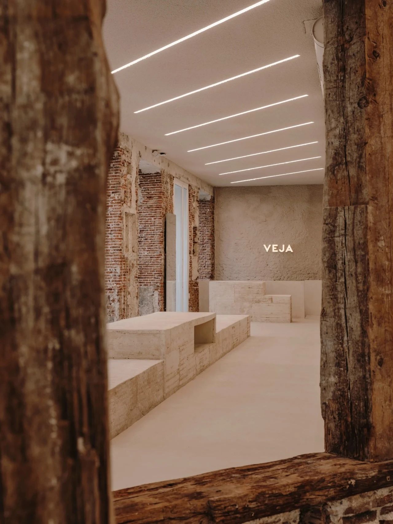 PLANTEA|新的生命力-38