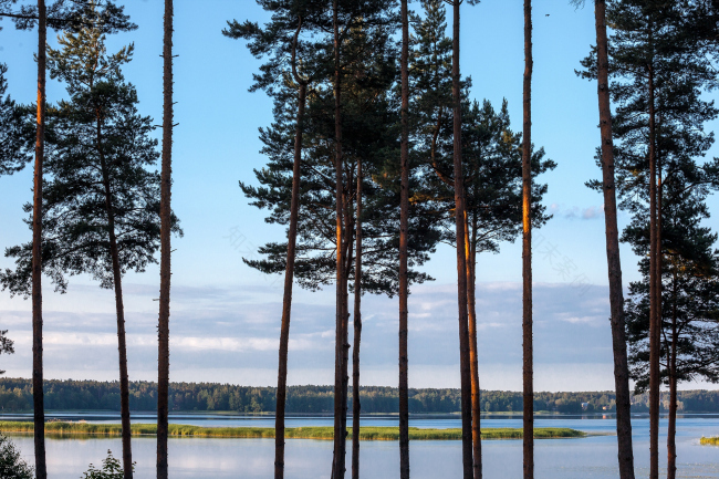 丨拉脱维亚丨AB3D-40