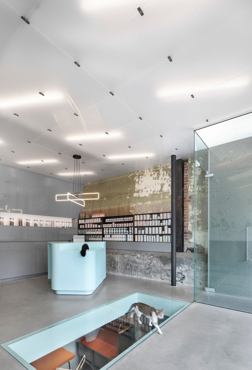 由废弃摄影棚改造的蒙特利尔宠物医院 住宅  T B A-1