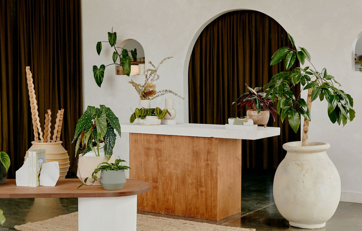 Plant Charmer 零售空间设计-5