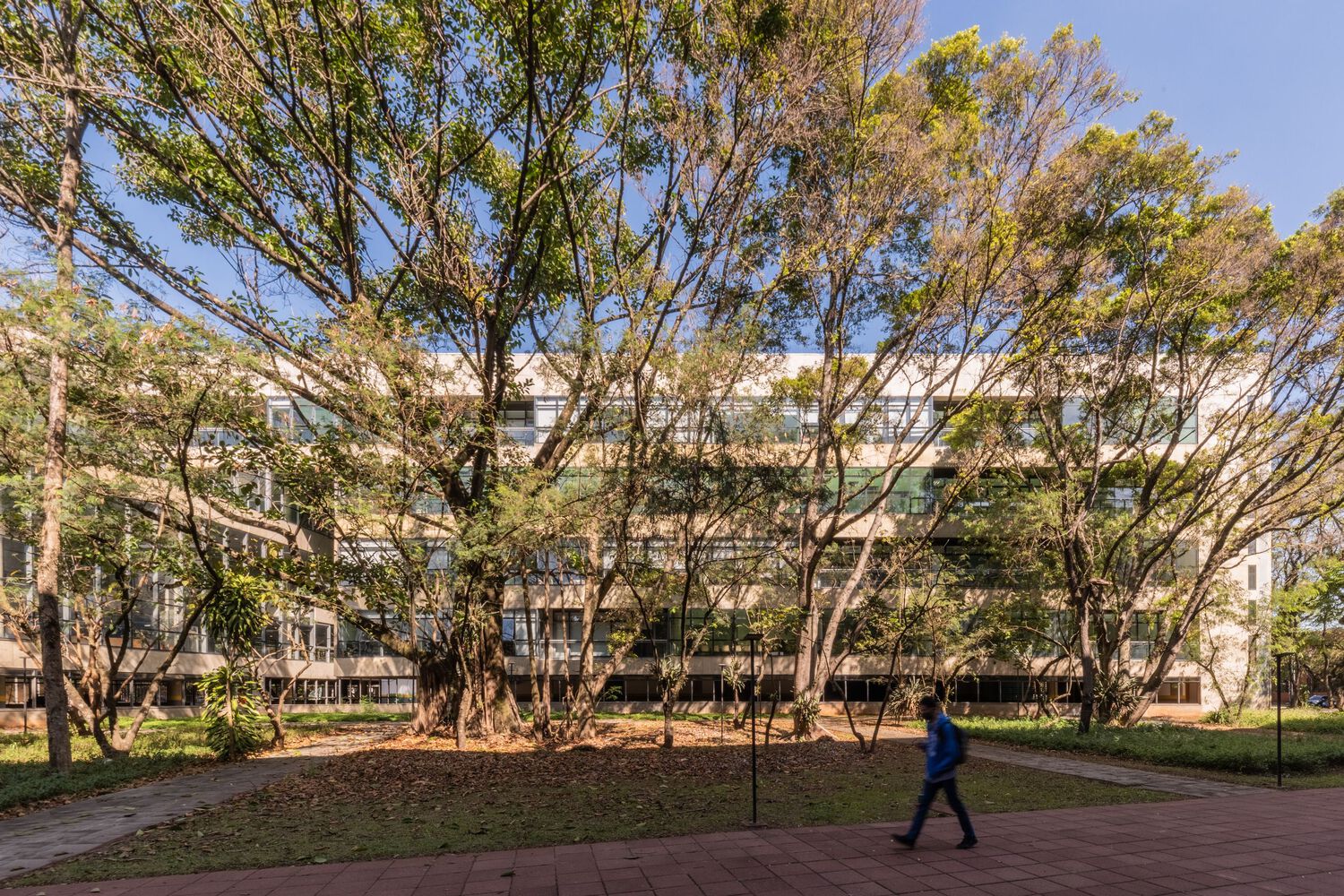 巴西圣保罗大学创新研究中心丨暂无-1