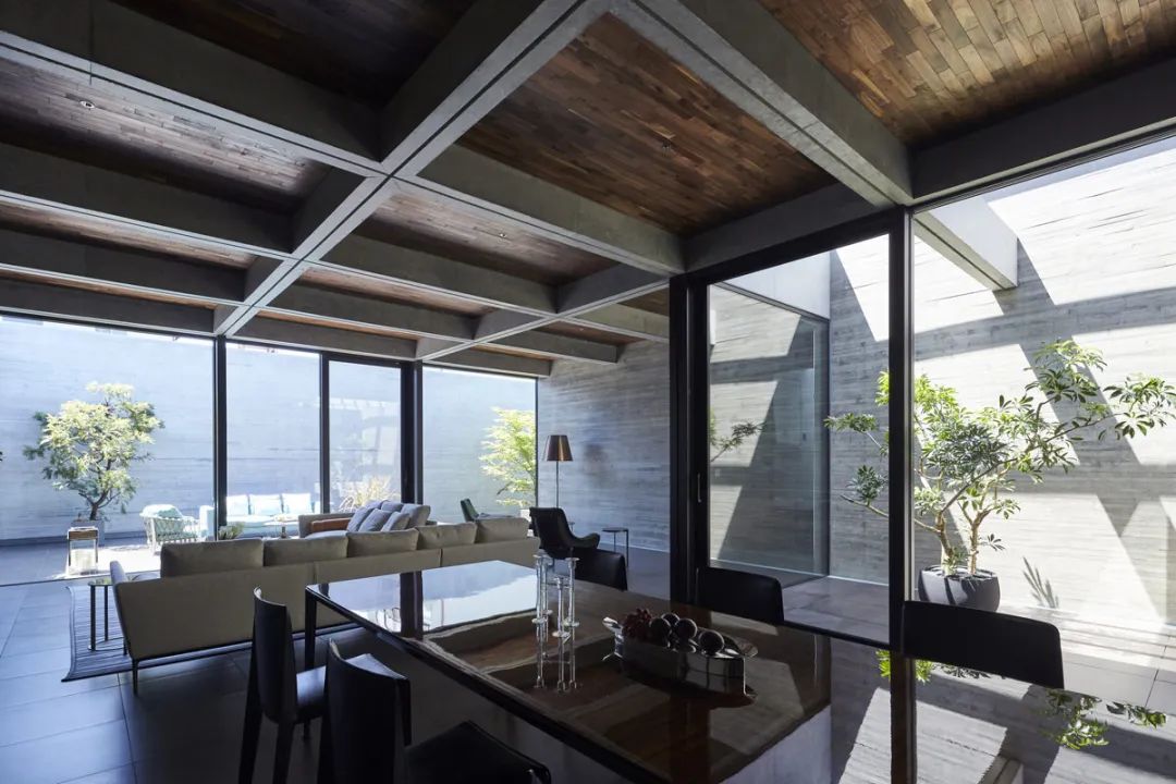 日本野兽派庭院住宅-19