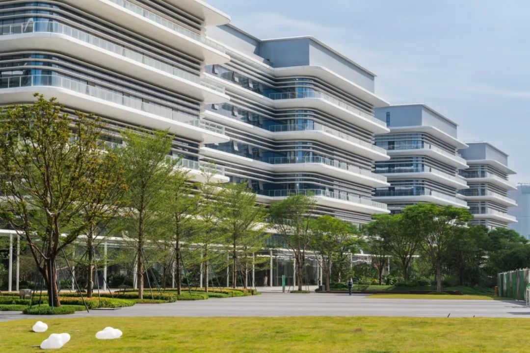 OPPO 智能制造中心项目 B 地块一期北区厂房园林景观分包工程丨萨尔瓦多滨海丨广州普邦园林股份有限公司-26