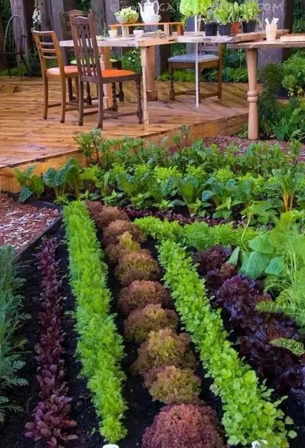 一楼带院子,这样设计美呆了!!!-19