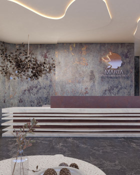 Wellness & Spa Center Reception | Modern Interior