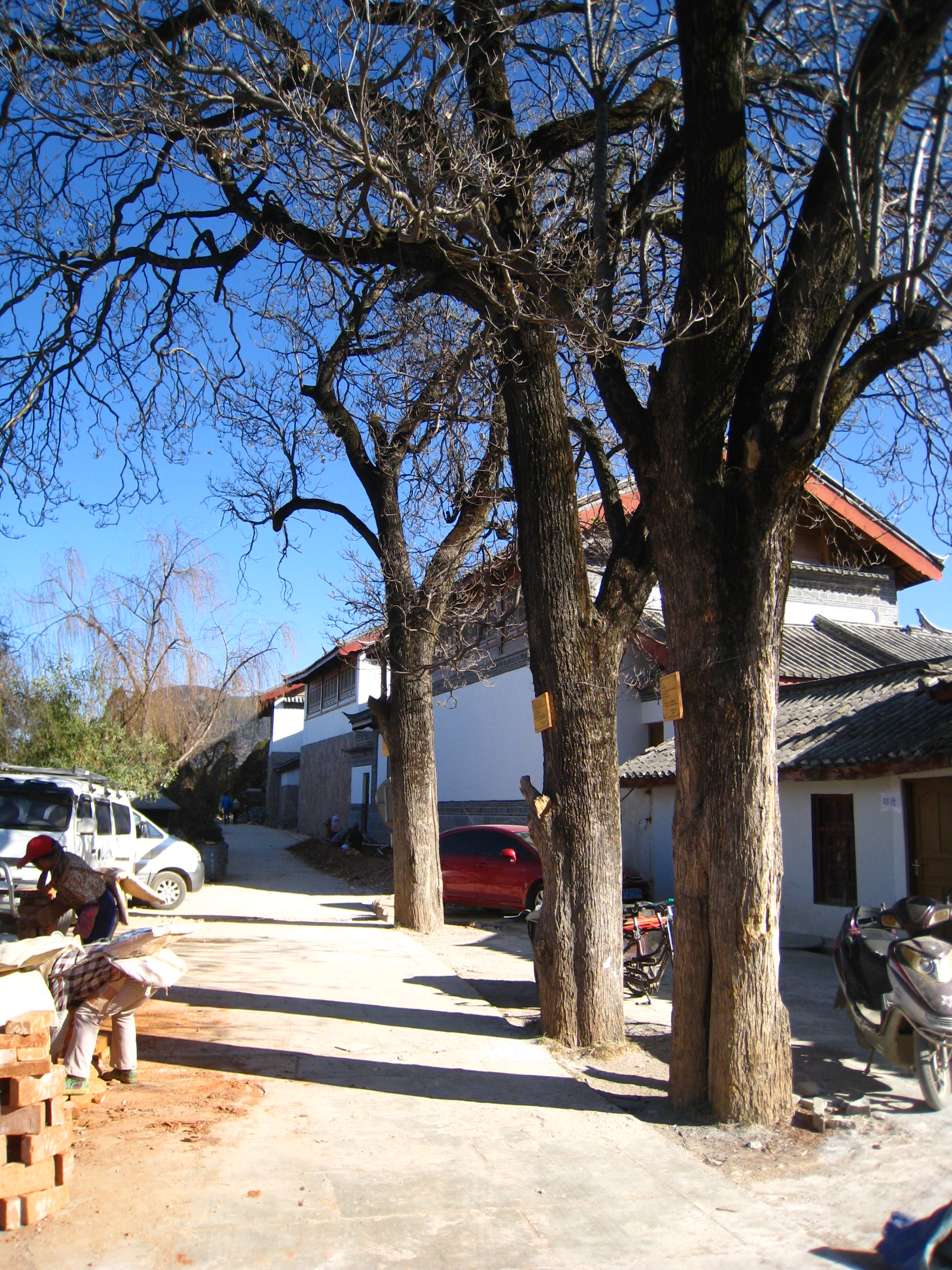 JAYA  丽江安缦-10