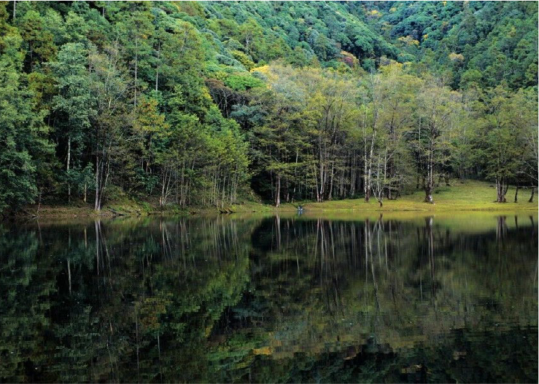 “龙脊”  地中海黑龙滩度假酒店丨中国眉山丨AIM（恺慕）建筑设计等多家-11