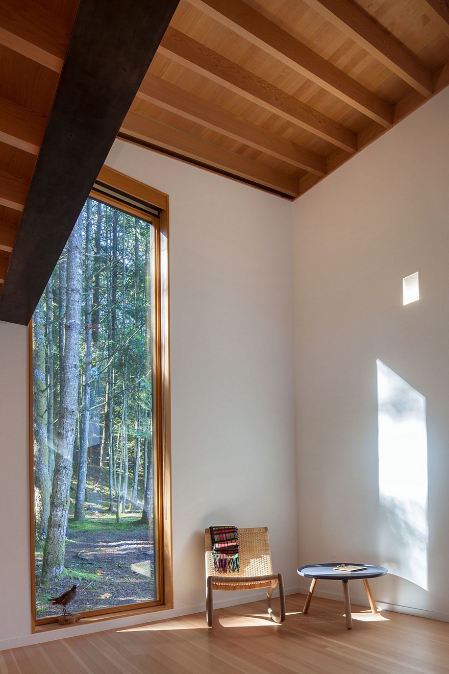 温哥华岛雨林度假屋-19