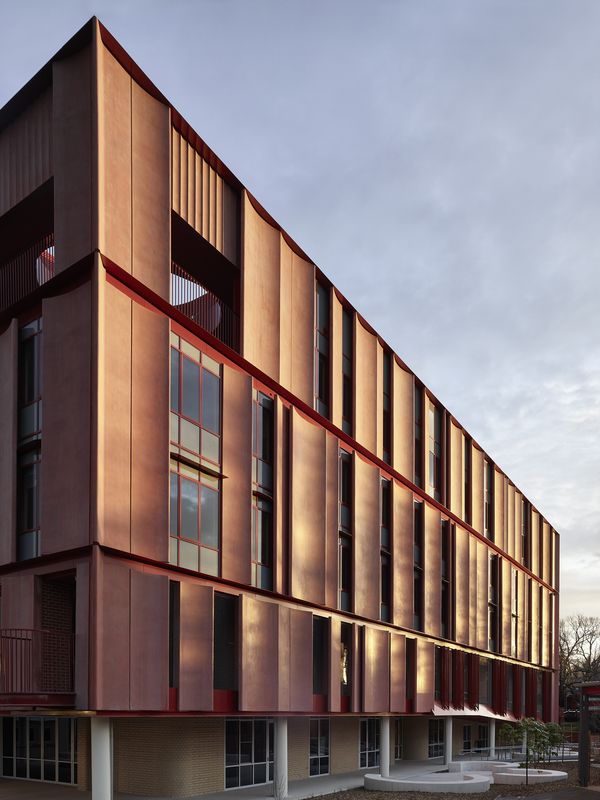 Mount Alexand丨澳大利亚丨 亚历克斯·布朗-14