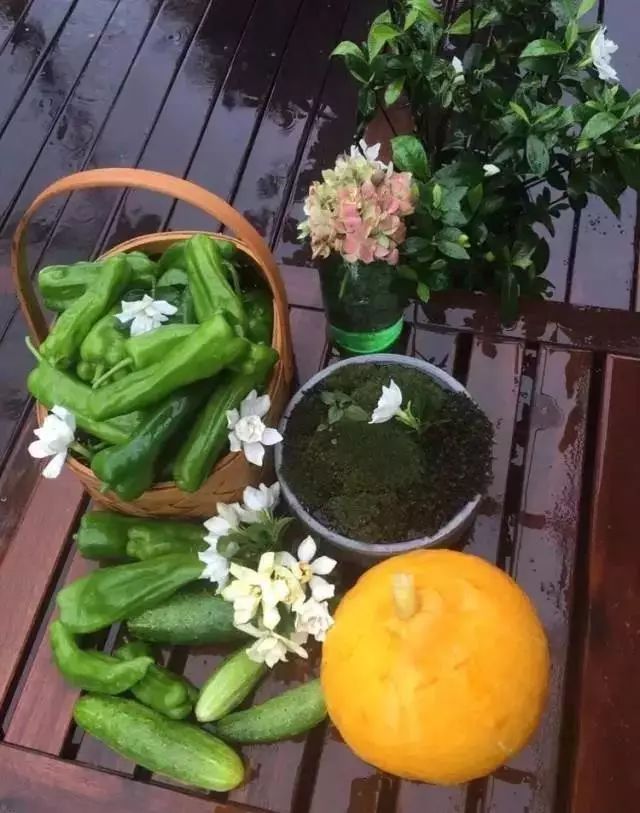 她在楼顶悄悄建了一座梦想花园，美翻了！这才是把日子过成诗的样子-199