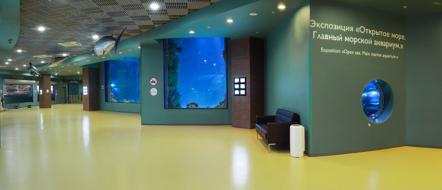 “Moskvarium”海洋馆丨俄罗斯莫斯科丨Aqua Logo Engineering-132