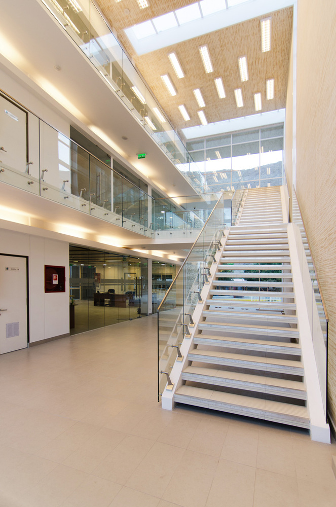 安第斯山脉中的埃斯洛市政厅-63