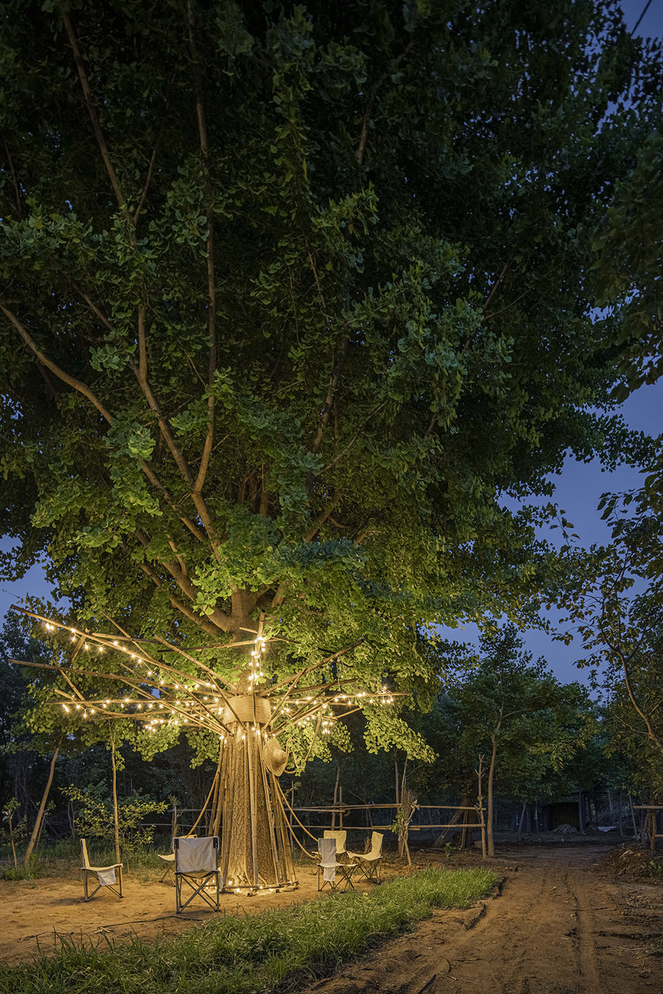 竹装置·Tree of Life丨中国北京丨UK Studio-14