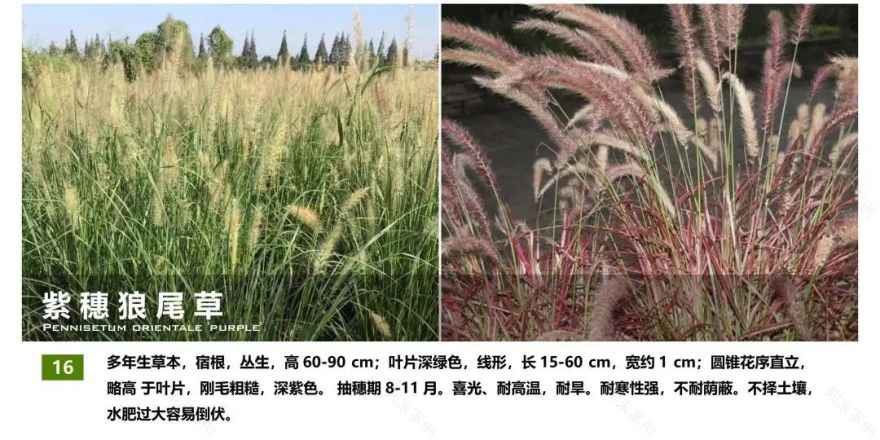 西安融创曲江印二楼屋顶花园丨中国西安丨魏玛设计集团-96