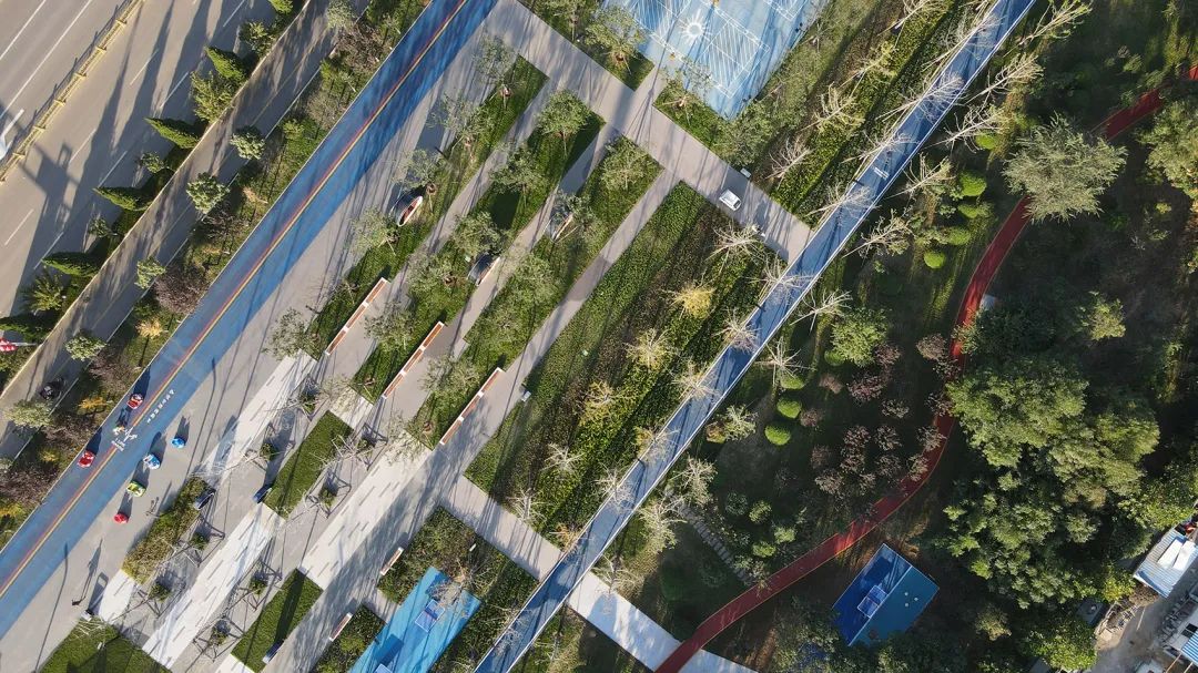 枣庄科创绿廊(一期)丨中国枣庄丨同圆设计集团股份有限公司——景观设计研究院-27