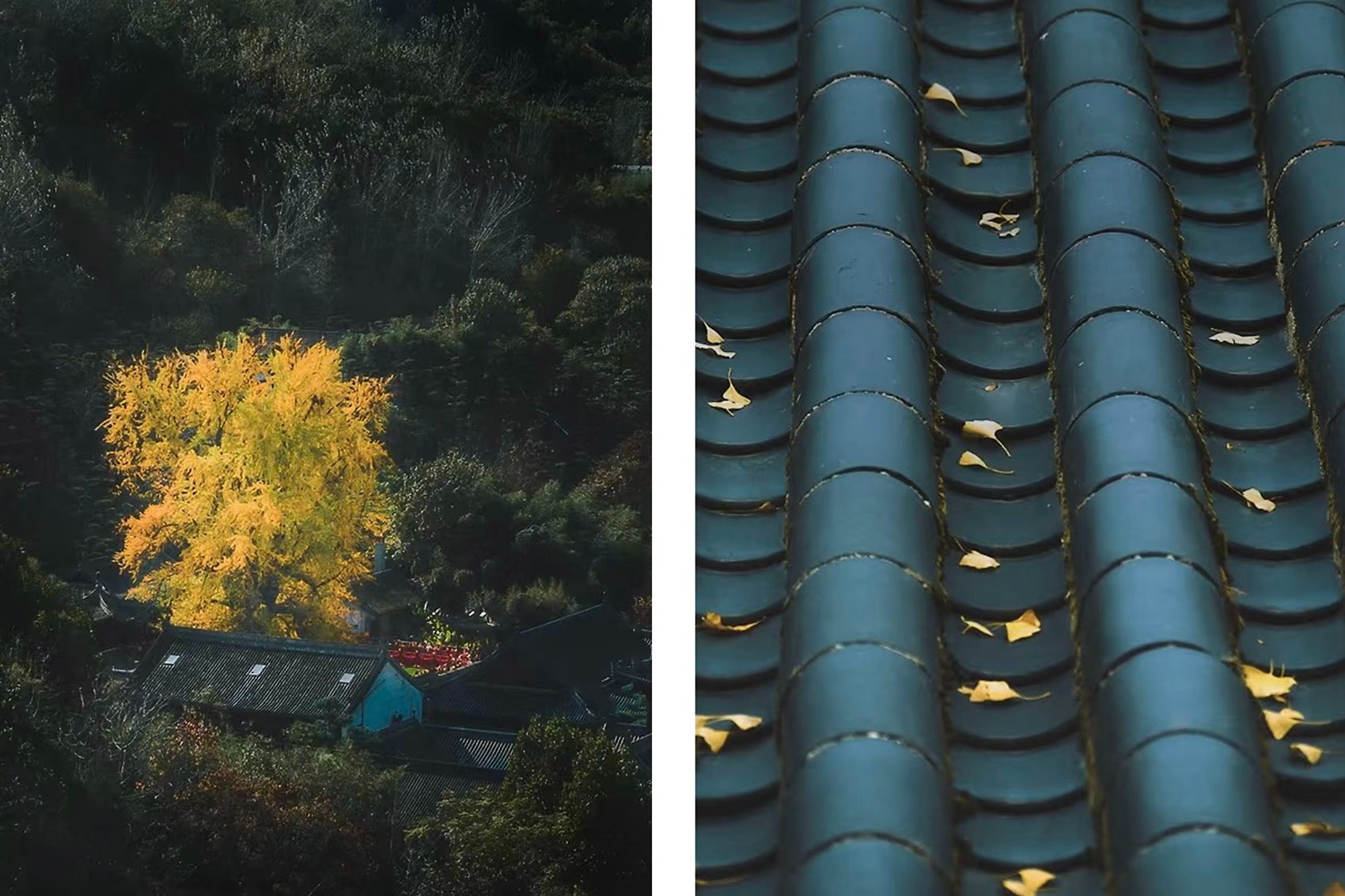 晓·茶馆(万象城生命之树)丨中国西安丨郭莘空间设计(西安)-80