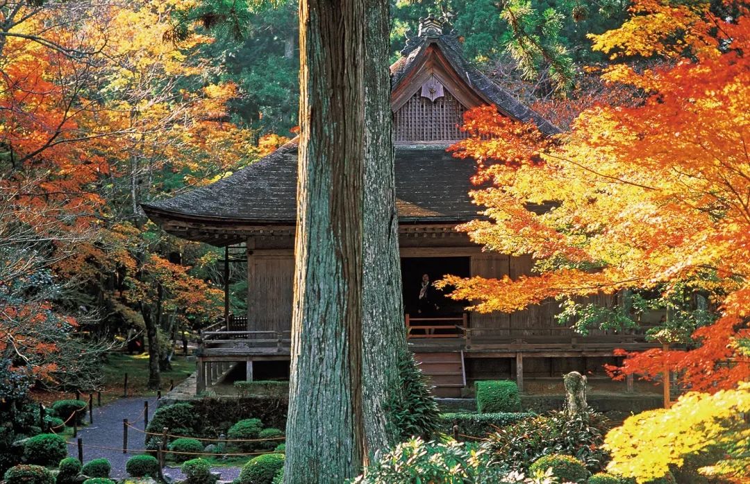 日本庭园艺术 | 传统与现代的完美结合-8