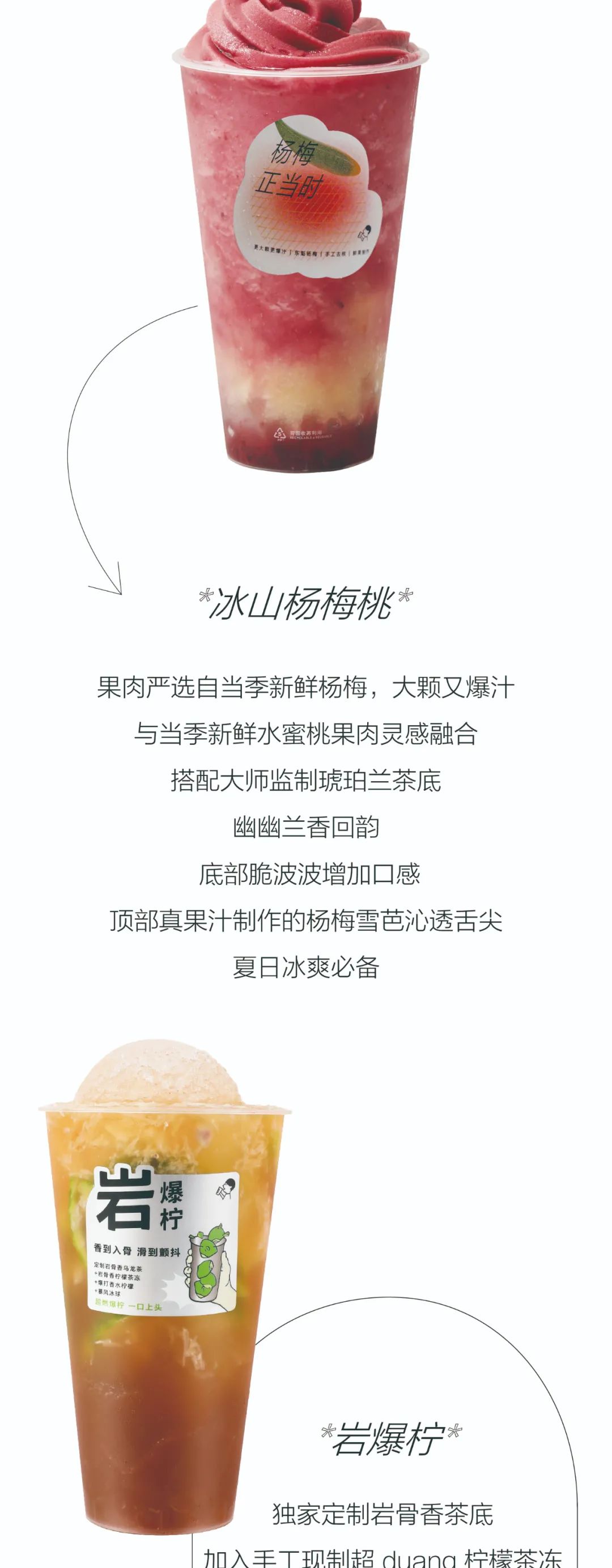 喜至盐城，茶香袅袅-5