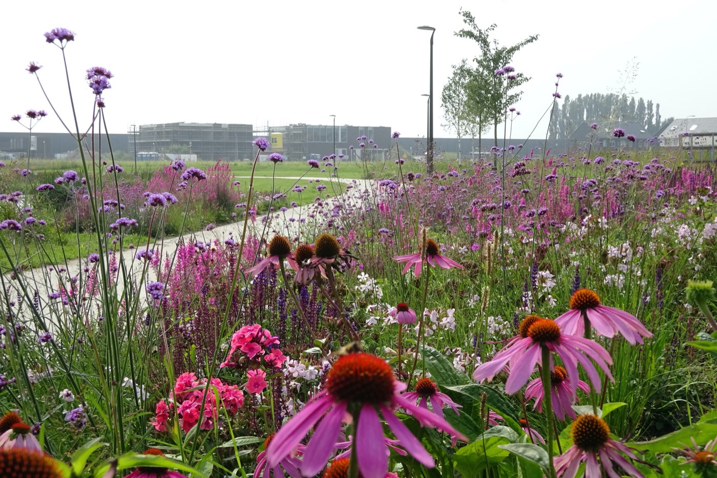 荷兰线性公园丨LOOSvanVLIET-18